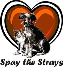 Spay logo