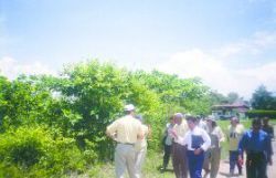 bosque_seco_2.jpg
