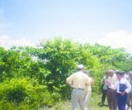 bosque_seco_2new.jpg