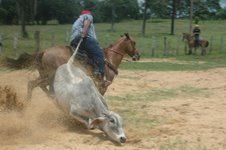 rodeo2.jpg