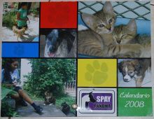 Spay Panama