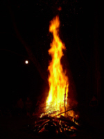 tree_burning.jpg