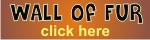 wall_of_fur_ad.jpg